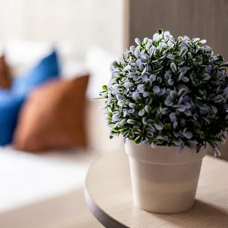 Alfa Kniazia Romana 11 公寓