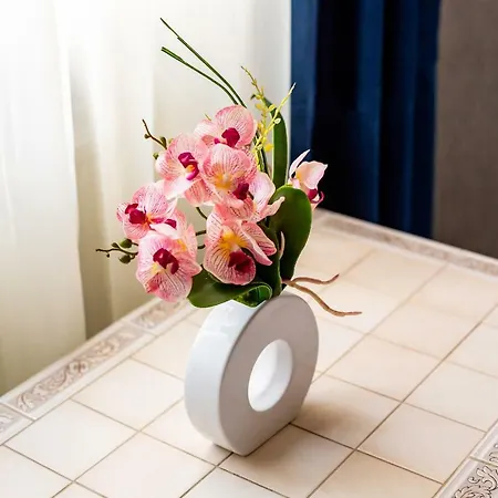 Alfa Kniazia Romana 11 *