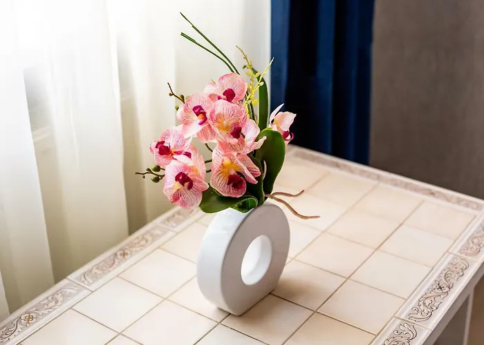 Alfa Kniazia Romana 11 *