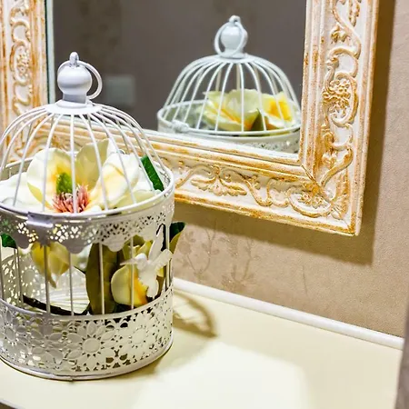 Alfa Kniazia Romana 11