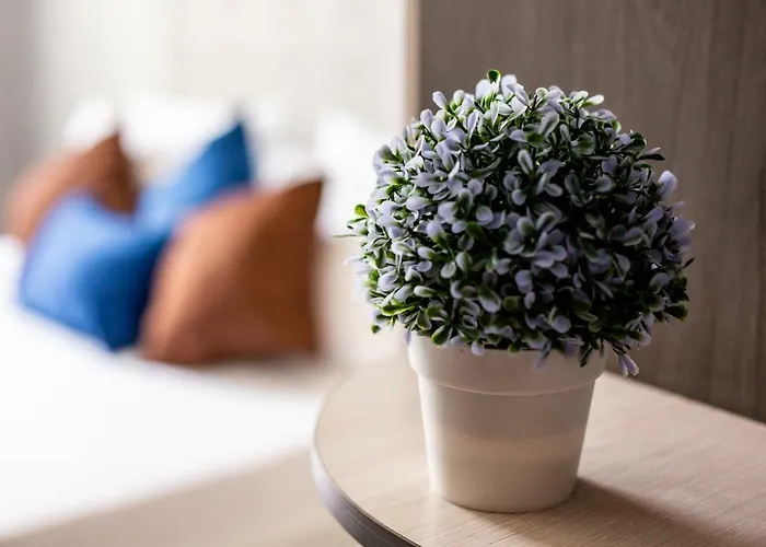 Alfa Kniazia Romana 11 Apartmán